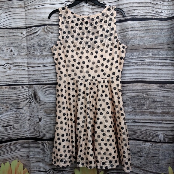 Skater Dress Floral Lace Ove… - Picture 12 of 12